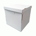 Kutija za tortu 30x30x20